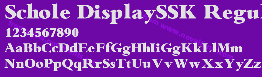 Schole DisplaySSK RegularPreview Schole DisplaySSK RegularPreview
