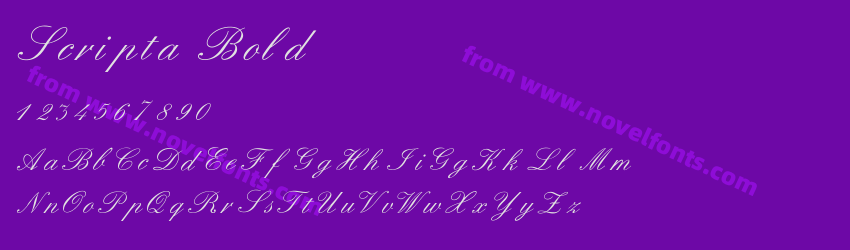 Scripta BoldPreview Scripta BoldPreview