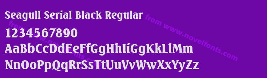 Seagull Serial Black RegularPreview Seagull Serial Black RegularPreview