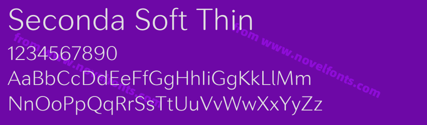 Seconda Soft ThinPreview