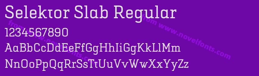 Selektor Slab RegularPreview Selektor Slab RegularPreview