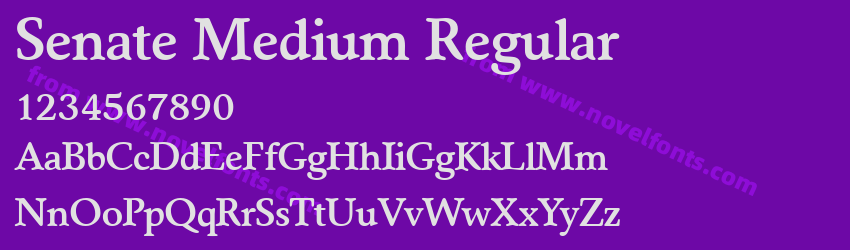 Senate Medium RegularPreview Senate Medium RegularPreview
