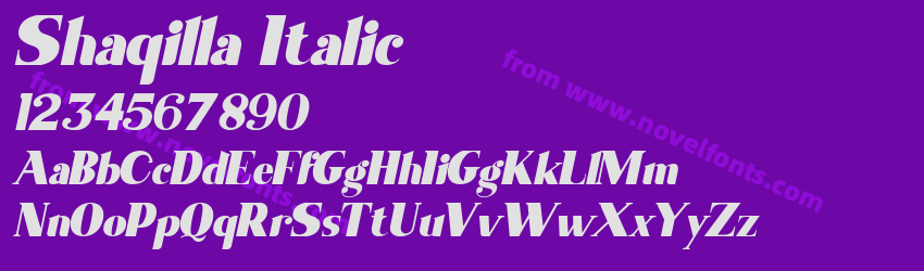 Shaqilla ItalicPreview Shaqilla ItalicPreview