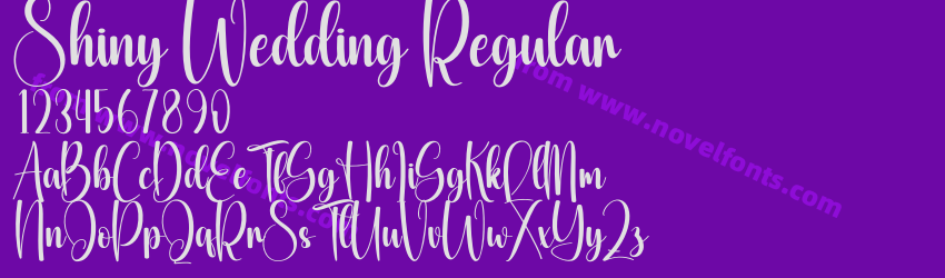 Shiny Wedding RegularPreview Shiny Wedding RegularPreview