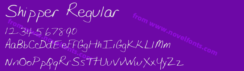 Shipper RegularPreview Shipper RegularPreview