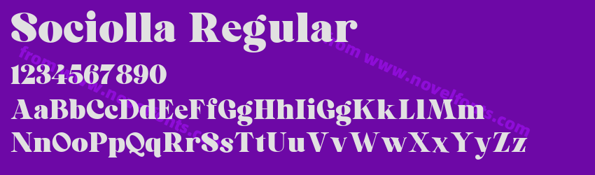 Sociolla RegularPreview Sociolla RegularPreview