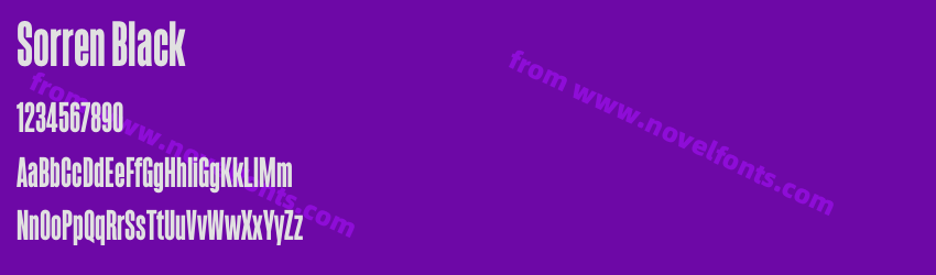 Sorren BlackPreview Sorren BlackPreview