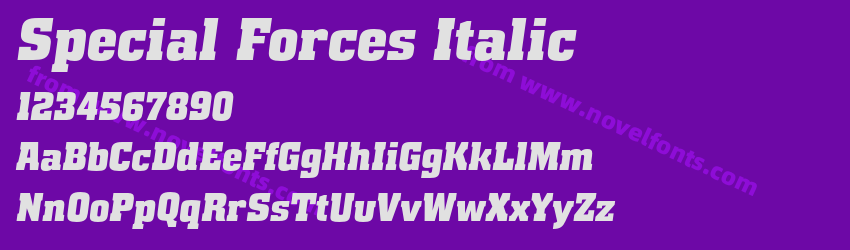 Special Forces ItalicPreview Special Forces ItalicPreview