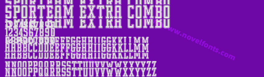 Sporteam Extra ComboPreview Sporteam Extra ComboPreview