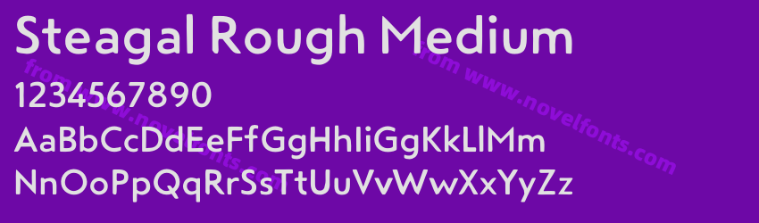 Steagal Rough MediumPreview Steagal Rough MediumPreview