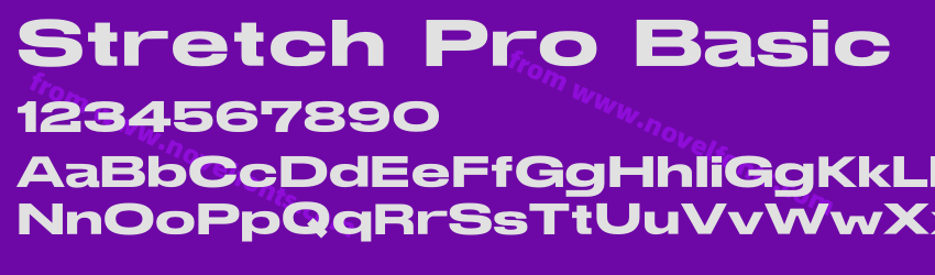 Stretch Pro BasicPreview Stretch Pro BasicPreview