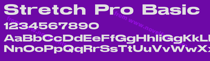 Stretch Pro BasicPreview Stretch Pro BasicPreview