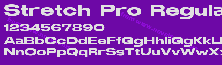 Stretch Pro RegularPreview Stretch Pro RegularPreview