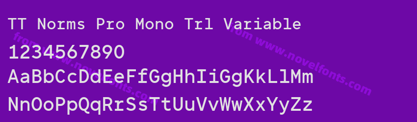 TT Norms Pro Mono Trl VariablePreview TT Norms Pro Mono Trl VariablePreview