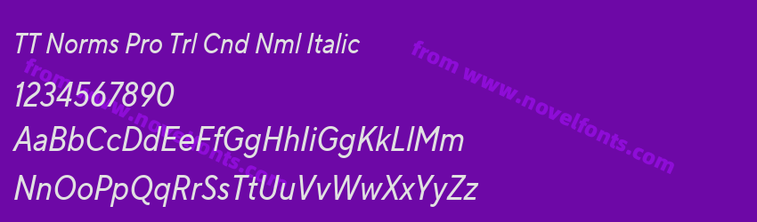 TT Norms Pro Trl Cnd Nml ItalicPreview TT Norms Pro Trl Cnd Nml ItalicPreview