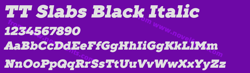 TT Slabs Black ItalicPreview TT Slabs Black ItalicPreview