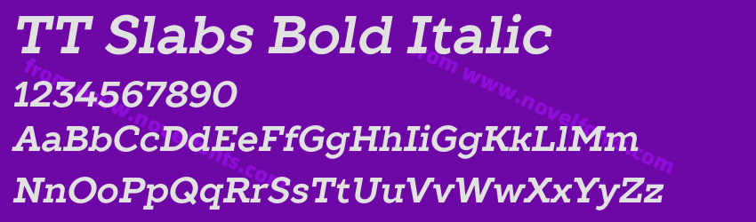 TT Slabs Bold ItalicPreview TT Slabs Bold ItalicPreview