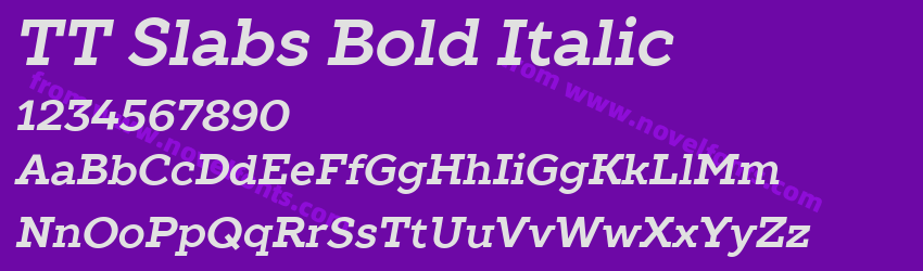 TT Slabs Bold ItalicPreview TT Slabs Bold ItalicPreview