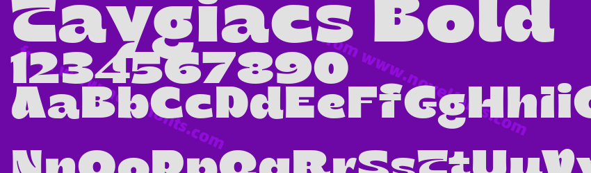 Taygiacs BoldPreview Taygiacs BoldPreview