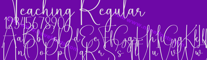 Teaching RegularPreview Teaching RegularPreview