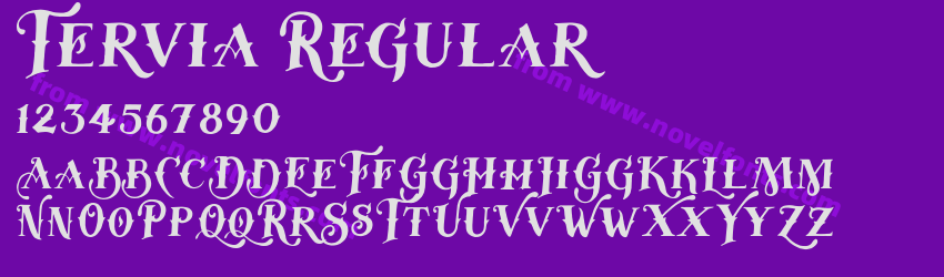 Tervia RegularPreview Tervia RegularPreview