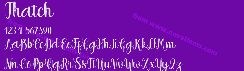 ThatchPreview ThatchPreview