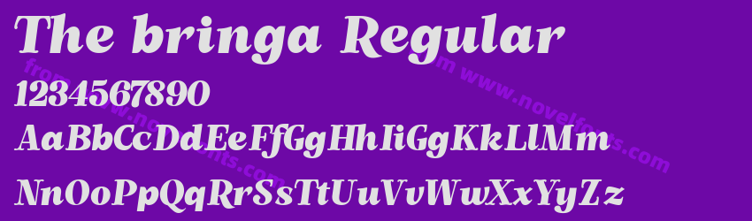 The bringa RegularPreview The bringa RegularPreview