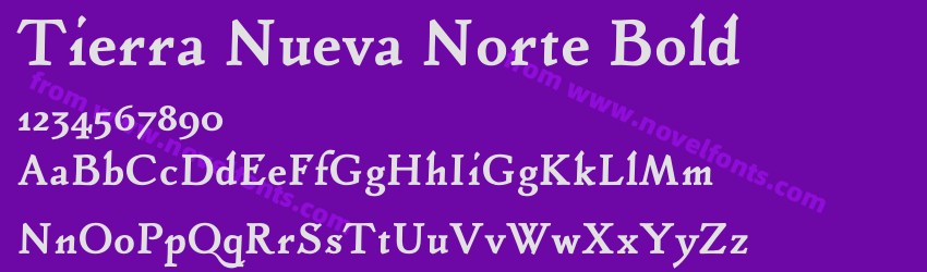 Tierra Nueva Norte BoldPreview Tierra Nueva Norte BoldPreview