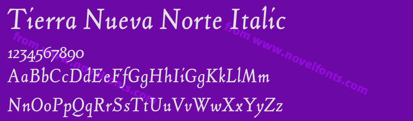Tierra Nueva Norte ItalicPreview Tierra Nueva Norte ItalicPreview