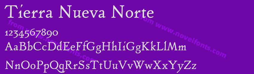 Tierra Nueva NortePreview Tierra Nueva NortePreview