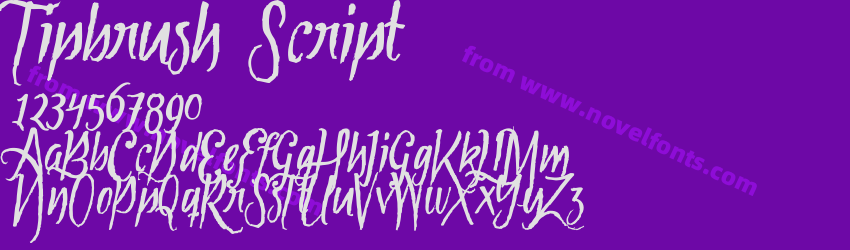 Tipbrush ScriptPreview