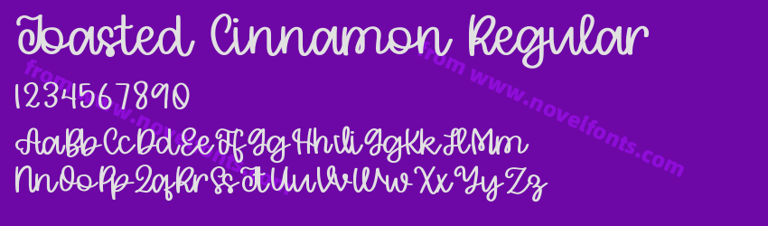Toasted Cinnamon RegularPreview Toasted Cinnamon RegularPreview