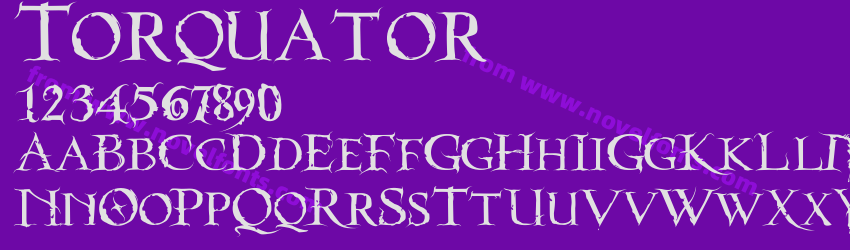 TorquatorPreview TorquatorPreview