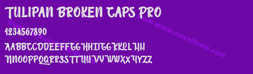Tulipan Broken Caps ProPreview Tulipan Broken Caps ProPreview