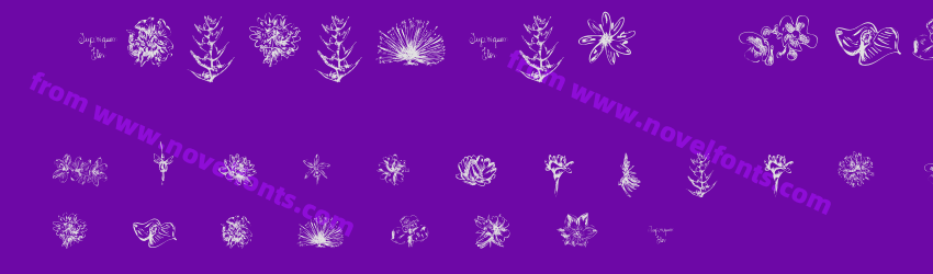 Tupiniquim FloraPreview Tupiniquim FloraPreview