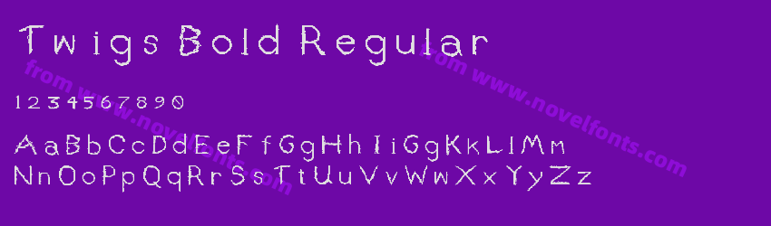 Twigs Bold RegularPreview Twigs Bold RegularPreview
