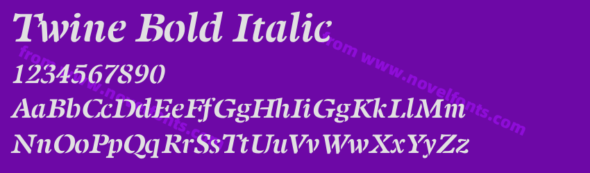 Twine Bold ItalicPreview Twine Bold ItalicPreview