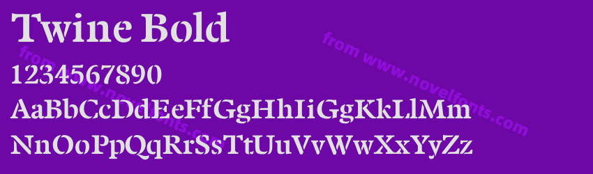 Twine BoldPreview Twine BoldPreview