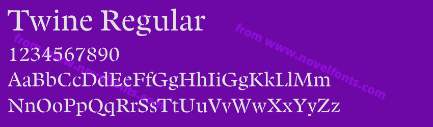 Twine RegularPreview Twine RegularPreview