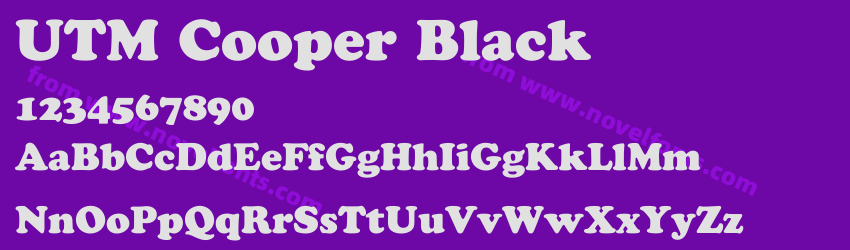 UTM Cooper BlackPreview UTM Cooper BlackPreview