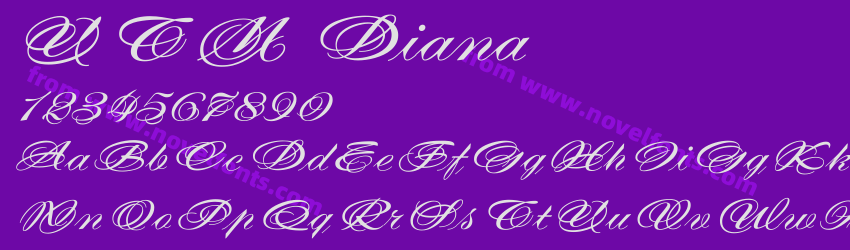 UTM DianaPreview UTM DianaPreview