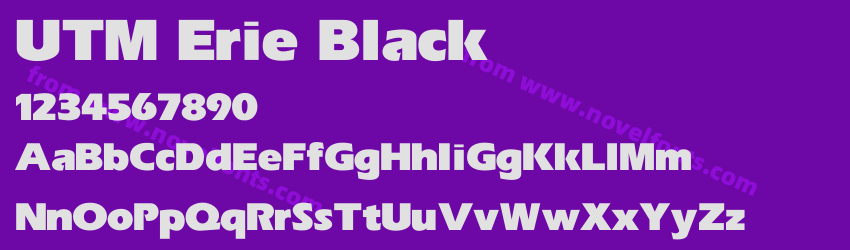 UTM Erie BlackPreview UTM Erie BlackPreview