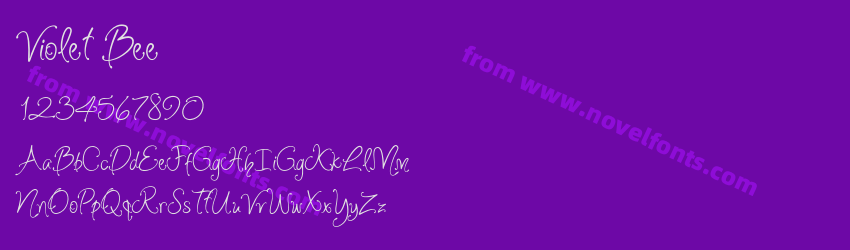 Violet BeePreview Violet BeePreview