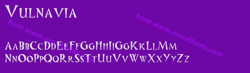 VulnaviaPreview VulnaviaPreview