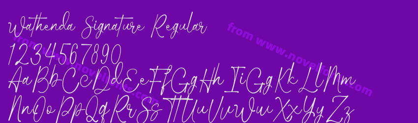 Wathenda Signature RegularPreview Wathenda Signature RegularPreview