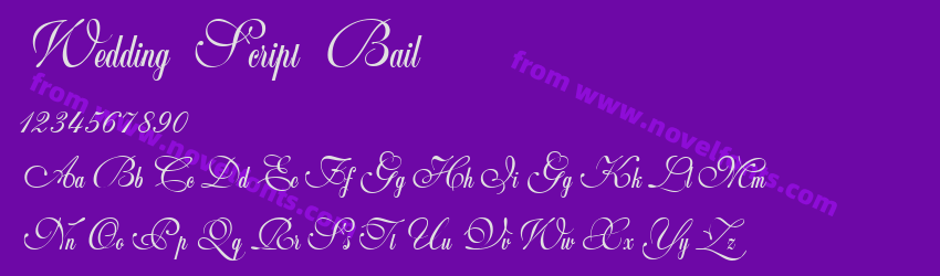 Wedding Script BailPreview Wedding Script BailPreview