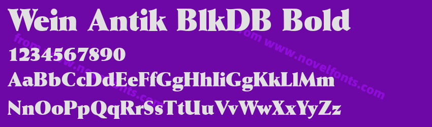 Wein Antik BlkDB BoldPreview