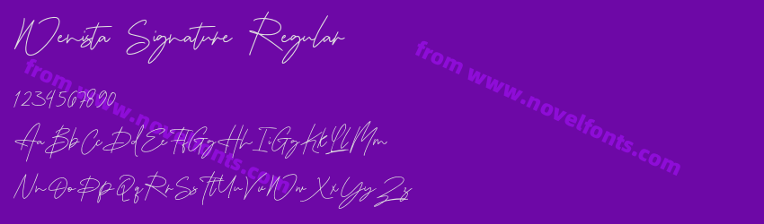 Wenista Signature RegularPreview Wenista Signature RegularPreview