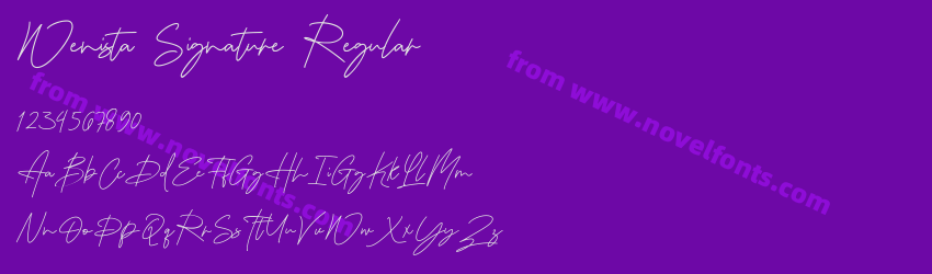 Wenista Signature RegularPreview Wenista Signature RegularPreview