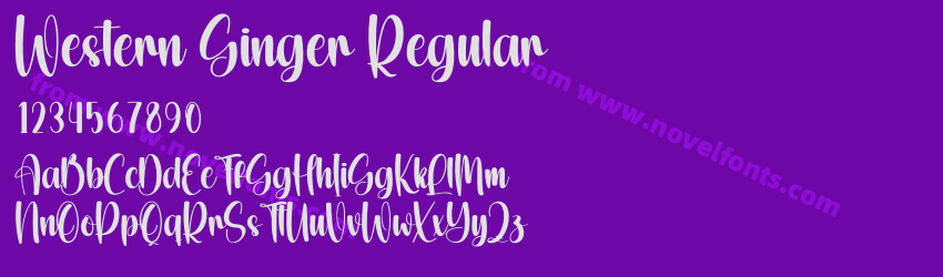 Western Ginger RegularPreview Western Ginger RegularPreview